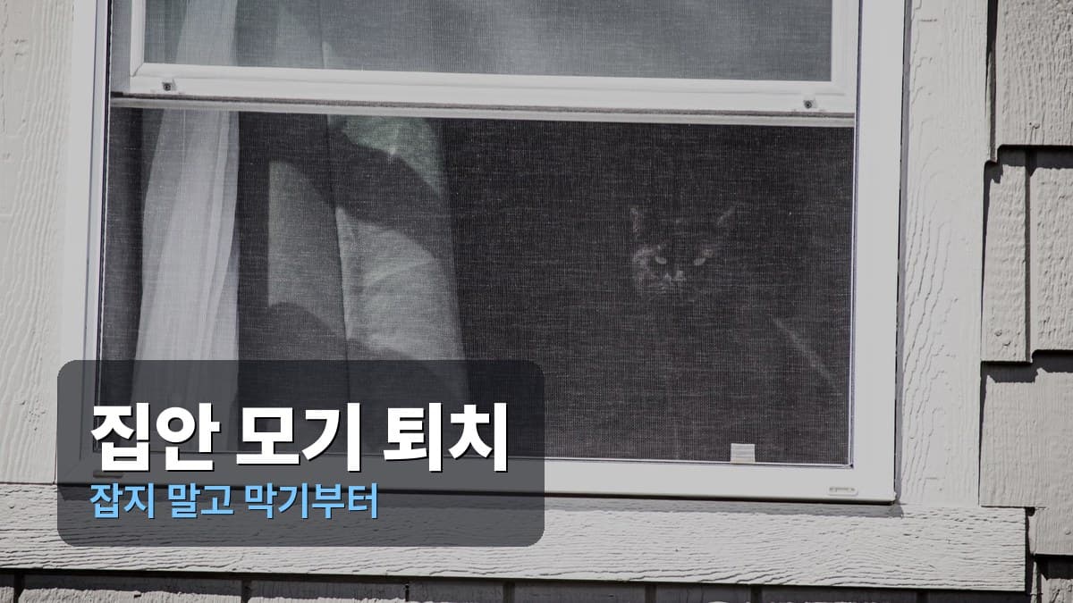 주택 외벽에 설치된 방충망이 달린 창문