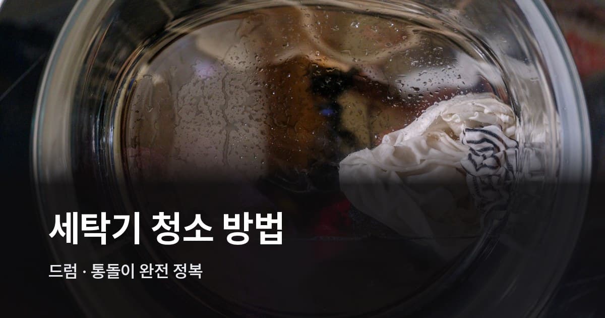드럼세탁기 내부