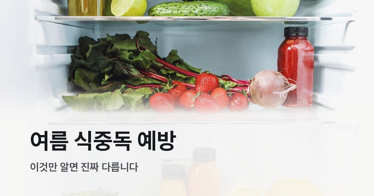 냉장고 안에 가득 정리된 신선한 채소와 과일