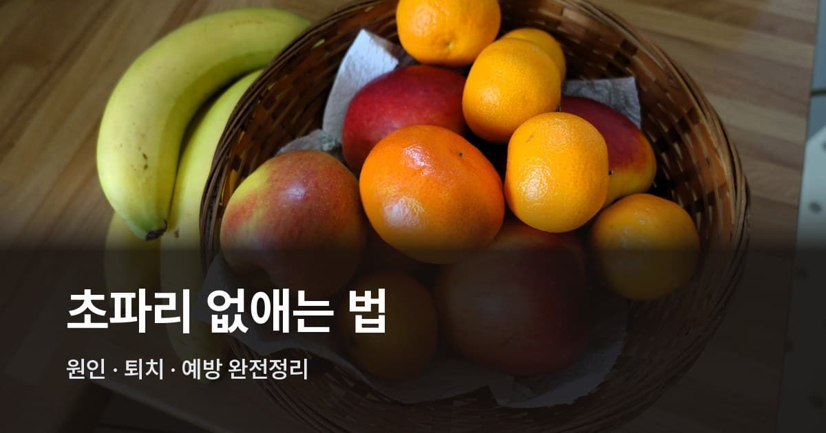 나무 주방 상판 위 바구니에 담긴 바나나, 오렌지, 사과 등 과일