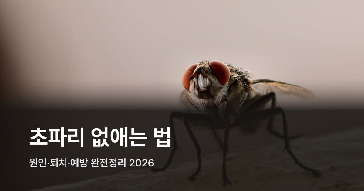 파리 근접 촬영